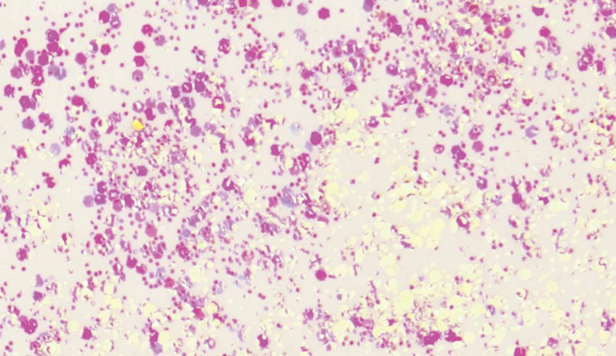 Glitter Glue - Flaky 50ml