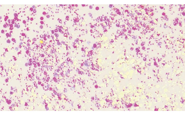 Glitter Glue - Flaky 50ml