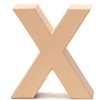 cardboard letters X 17,5x5,5cm