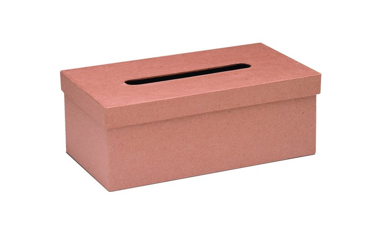 Cosmetic tissue box 25x14x9cm