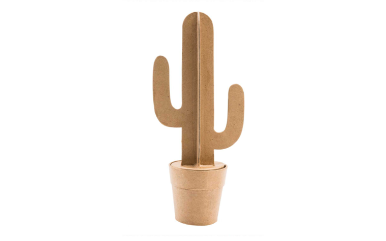 Desert cactus box, small