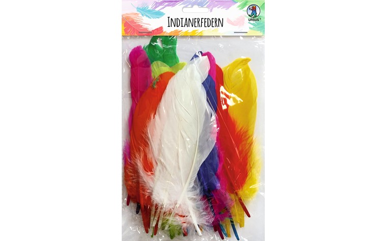 Indian feathers 50pcs