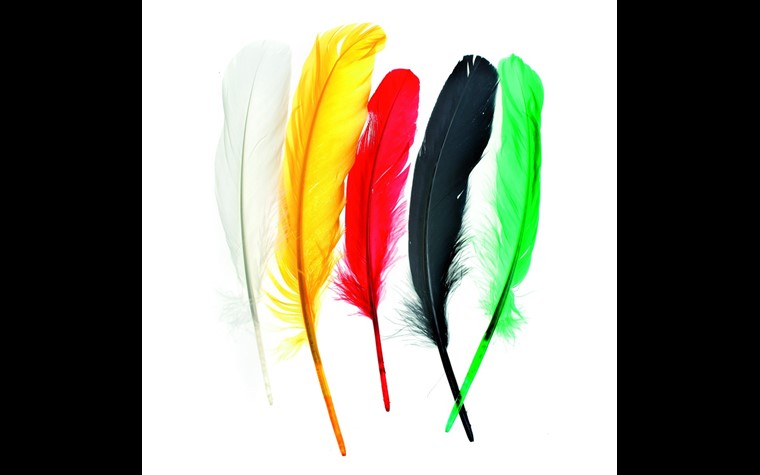 plumes indiennes ca.16cm