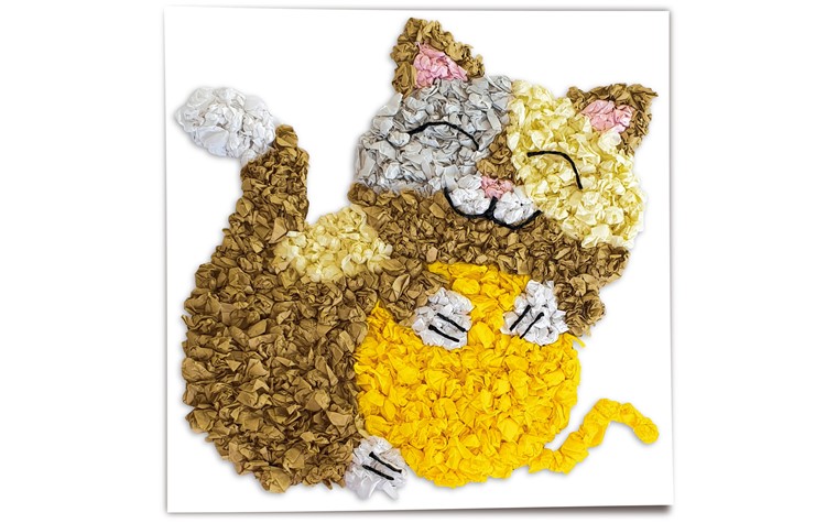 Modèle images à chiffonner 300g animaux domestiques 6pcs