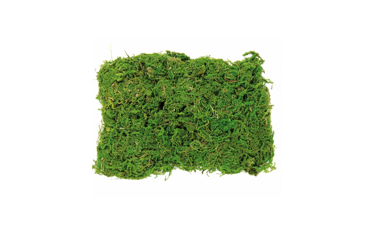 Moss bag 50g