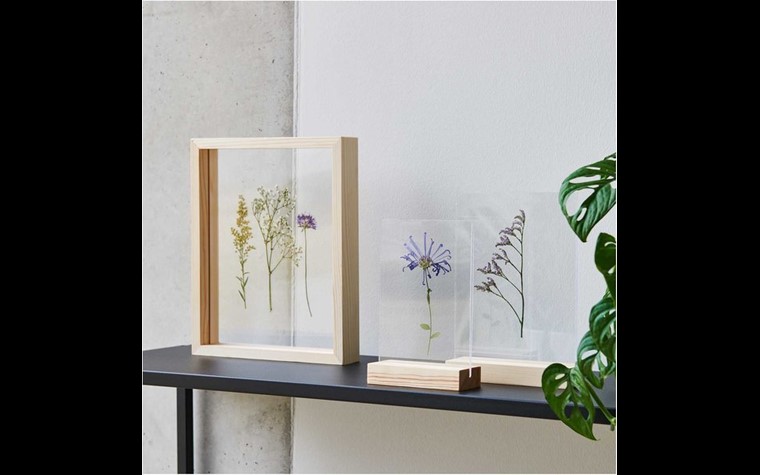Wooden display natural with double acrylic plate 13x18