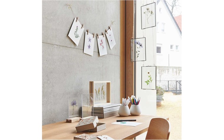 Wooden display natural with double acrylic plate 13x18