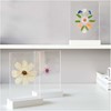 Wooden display natural with double acrylic sheet 10x15
